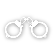 National Criminal File Search